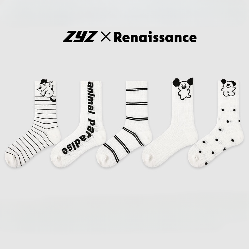 ZYZ X Renaissance Socks Box - 5 packs