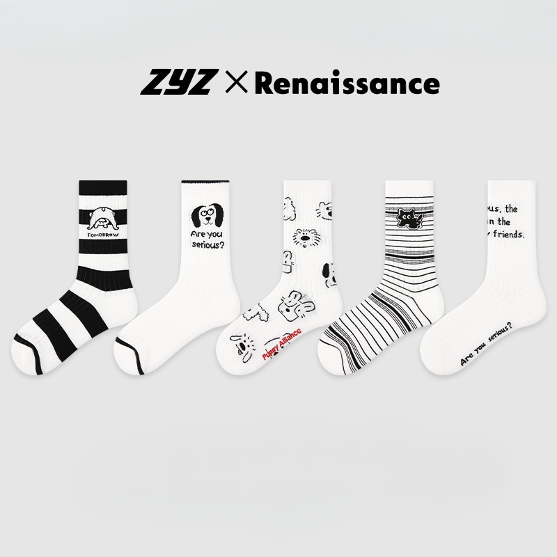 ZYZ X Renaissance Socks Box - 5 packs